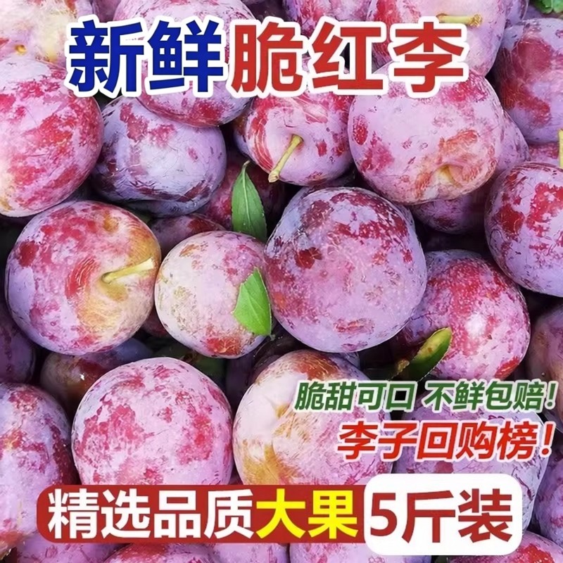 四川高山脆红李红心李脱骨李新鲜水果空心青红脆李半边红李子现货,水产肉类/新鲜蔬果/熟食,李子,淘宝优惠券,粉丝福利购,淘宝优惠卷