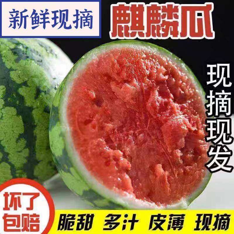 海南麒麟西瓜南汇三亚新鲜当季孕妇水果整箱脆甜西瓜现摘水果西瓜,水产肉类/新鲜蔬果/熟食,西瓜,淘宝优惠券,粉丝福利购,淘宝优惠卷