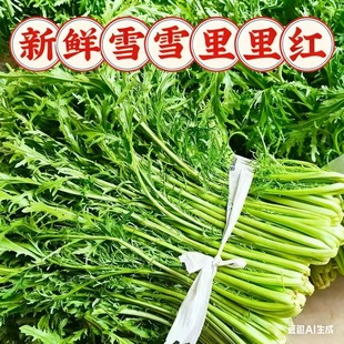 农家露天雪里红新鲜雪里蕻雪菜当季 蔬菜春不老酸菜咸菜食材现摘