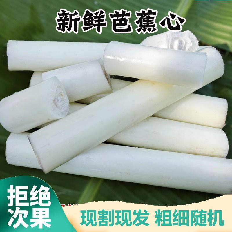 顺丰现摘现发天然野生芭蕉杆啦丝芭蕉心香蕉杆茎心蕉茎干心吃播2