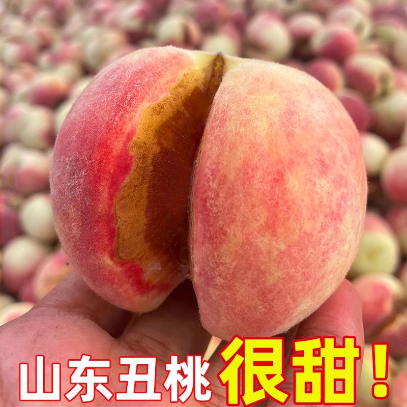 山东丑桃爆炸桃裂口桃子沂蒙山晚熟秋桃甜桃蜜桃应季水果新鲜整箱