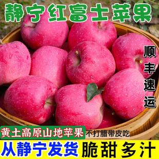 正宗甘肃平凉静宁苹果现摘红富士不打蜡脆甜多汁孕妇老人水果顺丰