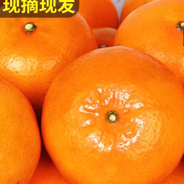 广西纯甜沃柑10斤橘子新鲜水果当季整箱沙糖蜜桔柑橘桔子产地武鸣,水产肉类/新鲜蔬果/熟食,桔子,淘宝优惠券,粉丝福利购,淘宝优惠卷
