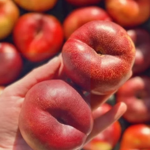 顺丰现货早春红油蟠桃纽扣油蟠桃非毛蟠桃红蟠桃扁桃新鲜现摘现发