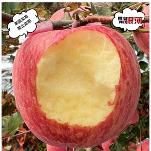 正宗水果苹果脆甜栖霞红富士条纹果产地山东烟台高端果礼盒装顺丰