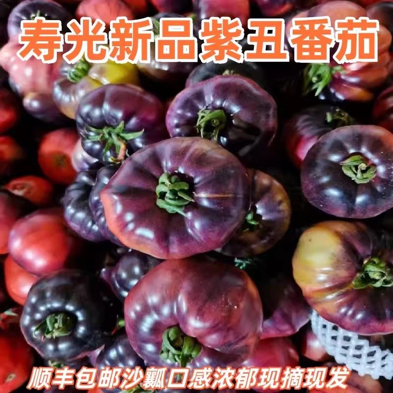 顺丰山东紫罗兰番茄新鲜现摘丑番茄火山紫马蹄番茄紫西红柿大果,水产肉类/新鲜蔬果/熟食,番茄,淘宝优惠券,粉丝福利购,淘宝优惠卷