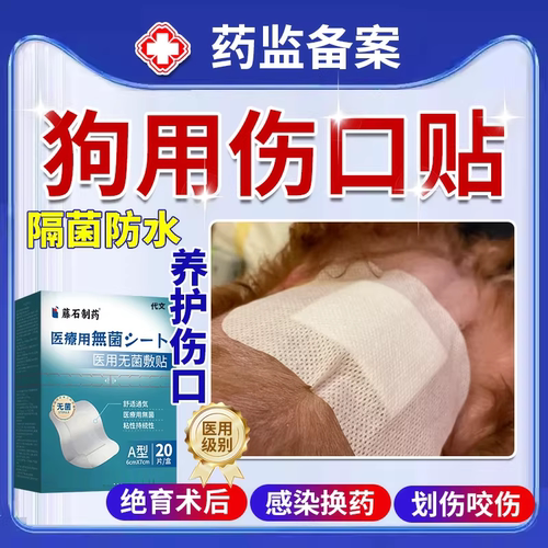 比伊丽莎白圈省事！伤口不怕舔