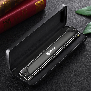 德国进口音簧28孔高端复音C调口琴成人重音24孔专业演奏级送礼品