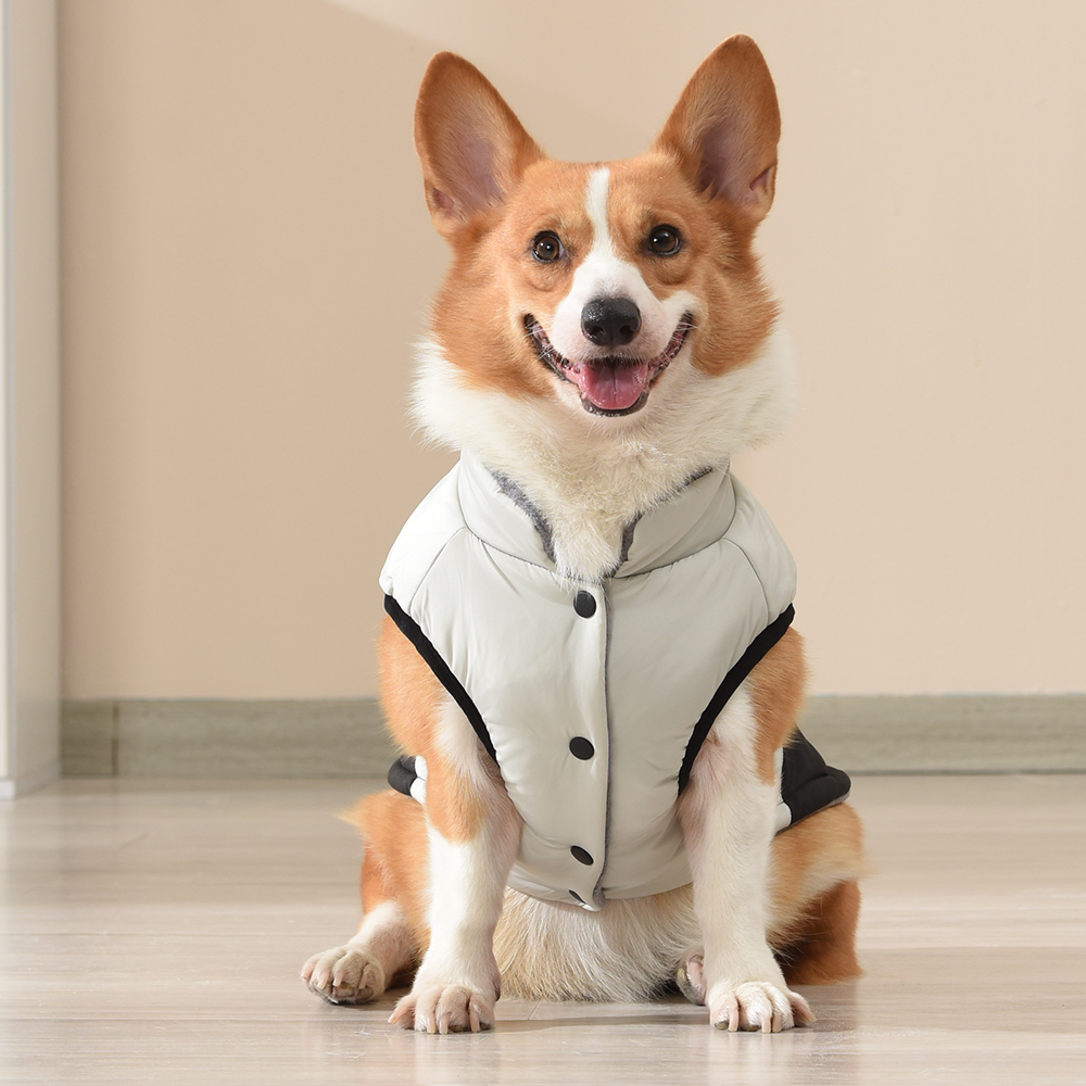 狗狗衣服冬季柴犬柯基中型犬宠物保暖冬款可牵引柴犬狗狗过冬棉衣