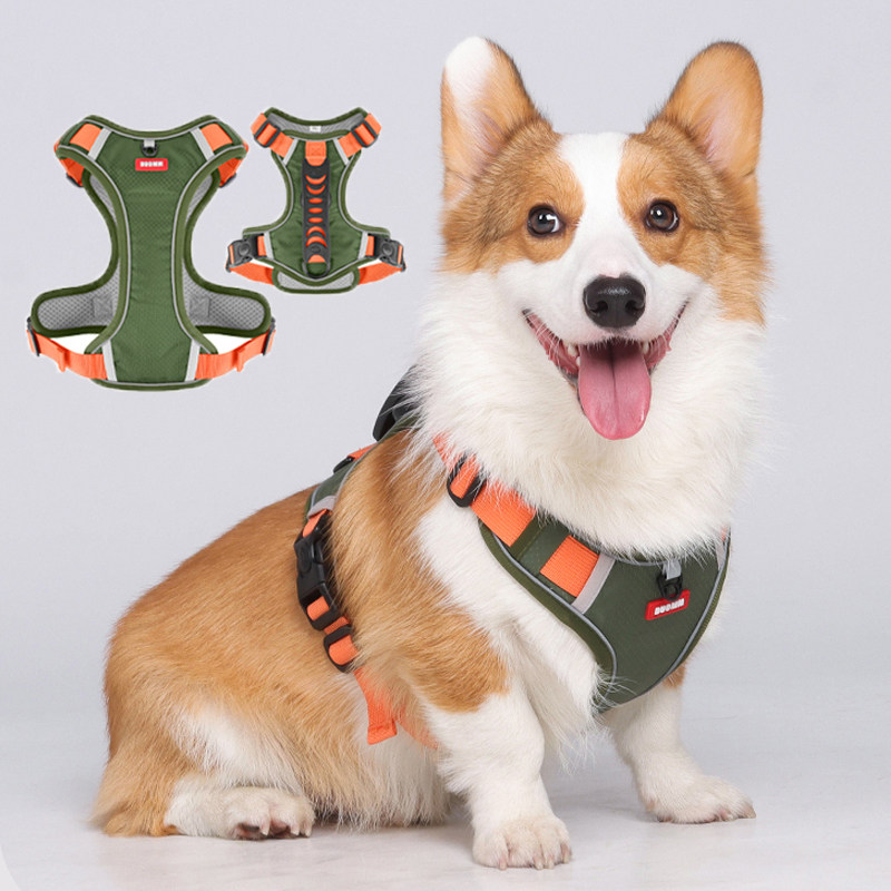 柯基犬专用牵引绳中大型犬可调节防爆冲把手可手提外出遛狗胸背带,宠物/宠物食品及用品,狗牵引绳,淘宝优惠券,粉丝福利购,淘宝优惠卷