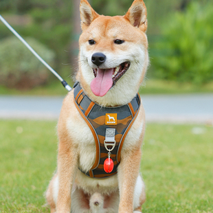 狗狗背心式胸背带中大型犬柯基专用防爆冲防挣脱外出必备遛狗绳子