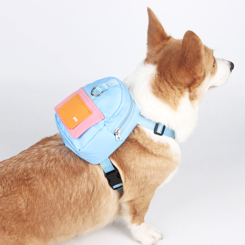 狗狗胸背带宠物背包胸背背包一体设计柯基柴犬中小型犬狗狗牵引绳