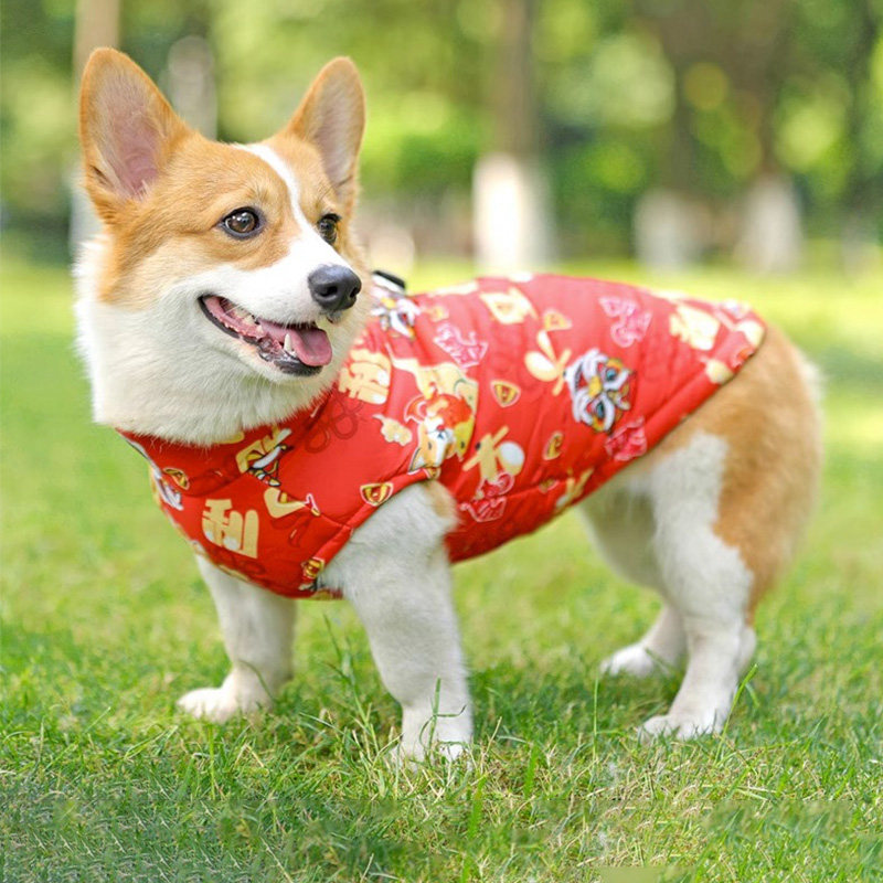 狗狗衣服带牵引扣秋冬季加后保暖宠物棉衣柯基中型犬新年喜气服装,宠物/宠物食品及用品,狗宠物服装/雨衣,淘宝优惠券,粉丝福利购,淘宝优惠卷