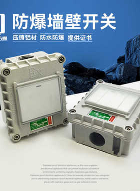 防爆墙壁开关 熔断路器86型明装单开双开10A20A厂房车间220V380V