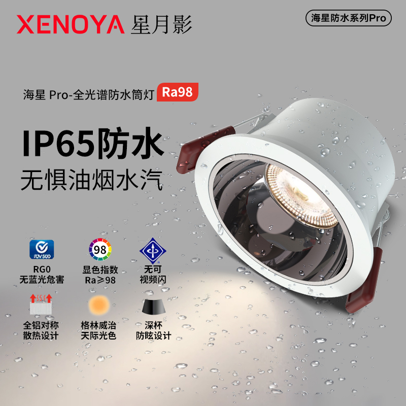 IP65级卫生间浴室防水防雾筒灯