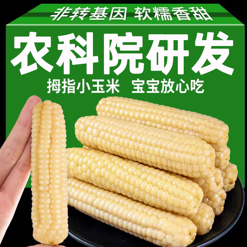 5斤版纳拇指小玉米即食白糯