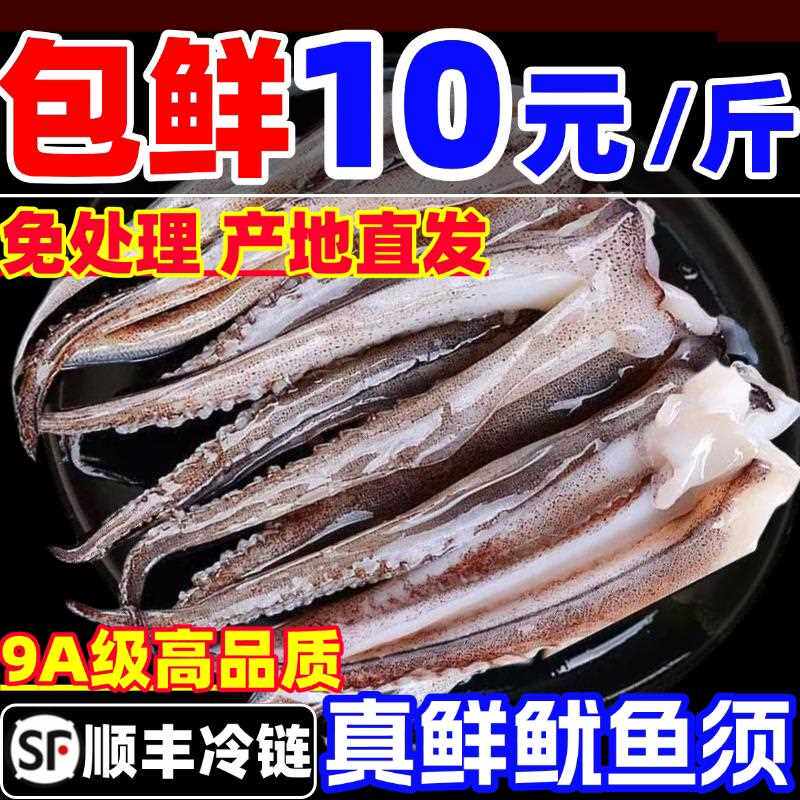 鱿鱼须尤鱼须新鲜海鲜水产鲜活冷冻二本足生鲜商用鱿鱼头火锅食材