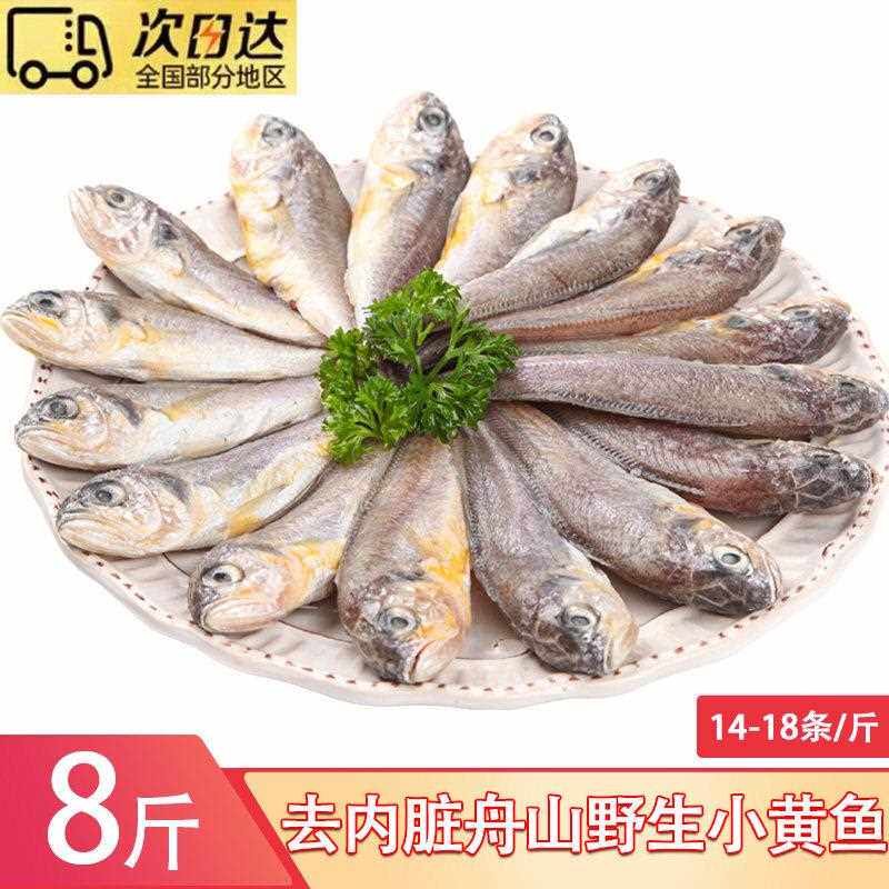 舟山野生小黄鱼无冰小黄花鱼新鲜冷冻海捕鲜活海鲜水产非大黄鱼