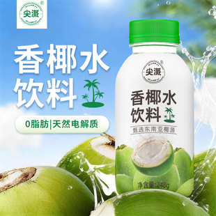 【尖派】香椰水248g*10瓶