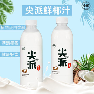 椰汁鲜榨椰奶椰乳椰浆生榨新鲜椰子汁大瓶植物蛋白饮料1kg*6瓶/箱