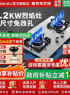 樱花官方旗舰店TSC01/A01燃气灶不锈钢双灶家用天然气液化气猛火