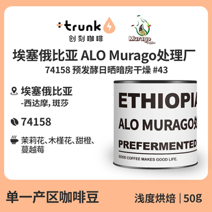 埃塞俄比亚ALO Murago预发酵日晒暗房干燥手冲咖啡豆浅黑美式单品