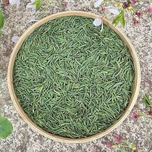 .江苏特产茶叶太湖翠竹2024新茶100g金坛雀舌绿茶溧阳翠柏金山翠