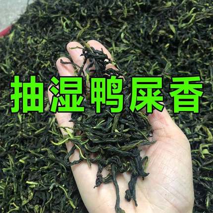 .2025新春茶凤凰茶单枞茶抽湿鸭屎香乌岽村单丛茶叶清香型单从500