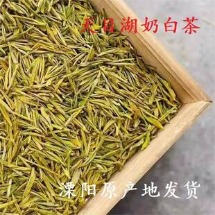 .头春头芽2025年溧阳天目湖奶白茶高货特级桶罐盒装原产地特产茶