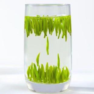 .雀舌2025新茶特级绿茶茶叶明前翠芽毛尖嫩芽太湖翠竹250g散装绿