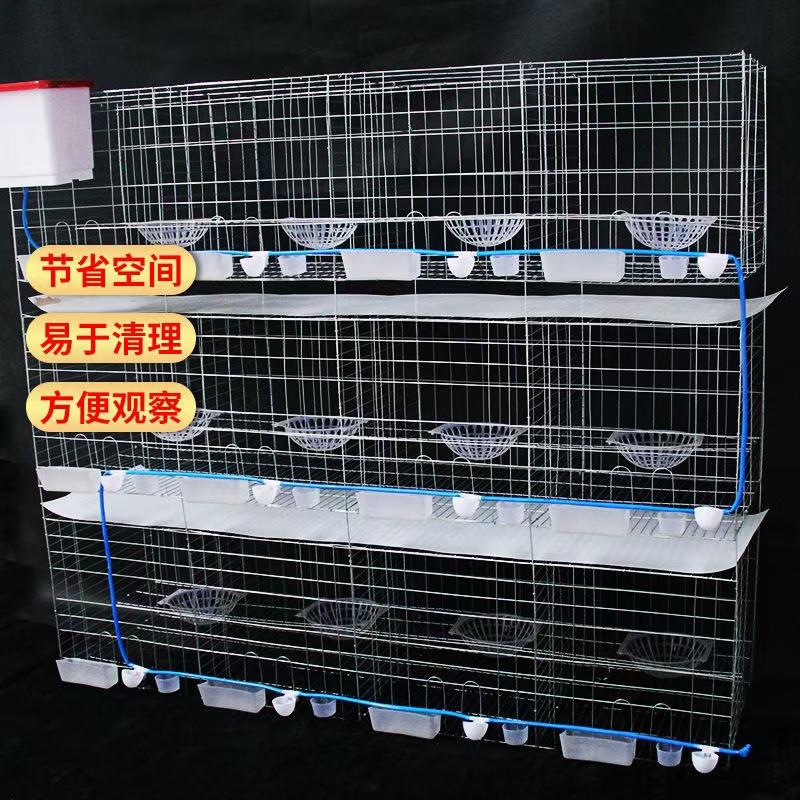 鸽笼鸽子笼12位鸽笼4层养殖白鸽笼鸽笼用品用具3层4层养殖鸽子笼