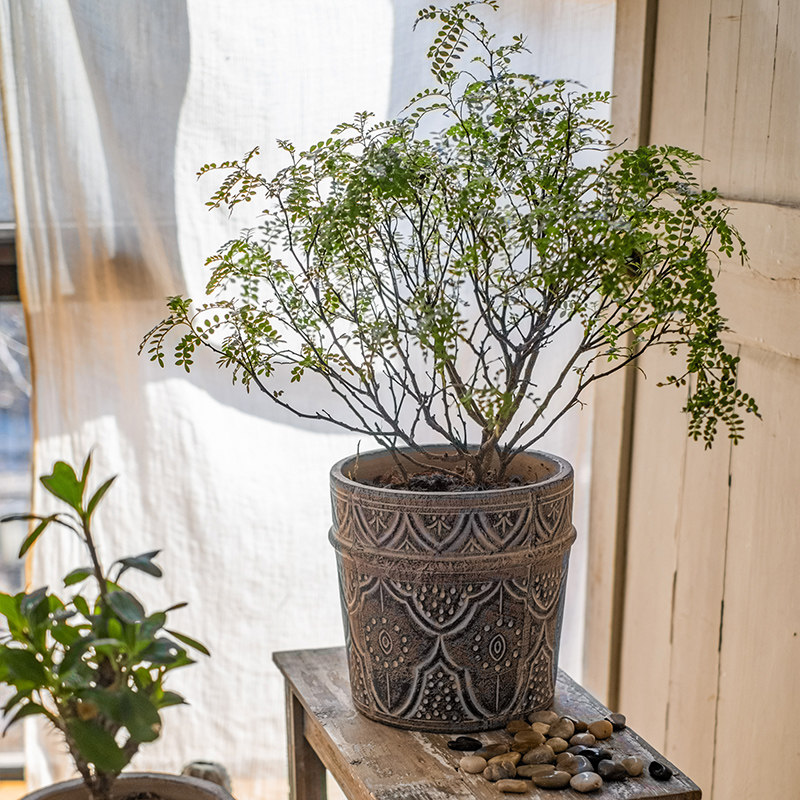 掬涵经典元素红陶花盆花器透气土培绿植种植插花阳台花园艺术花瓶