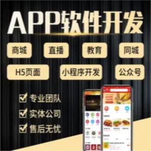 软件开发美容美业服务设计管理商城策划推广陪诊挂号系统搭建公司