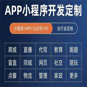 软件公司APP搭建APP上架APP运营APP设计APP推广APP定制APP开发