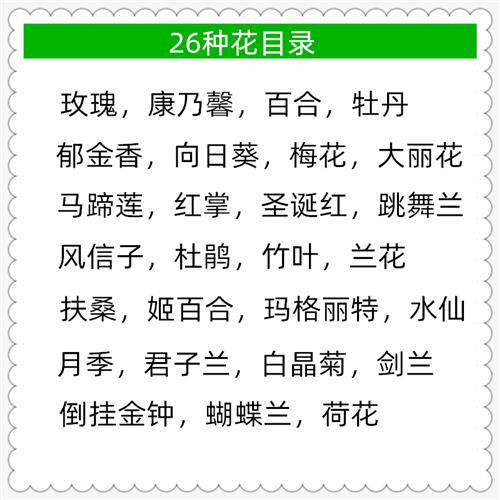 纸花材料纸花模板10元/套 纸藤花模版26种花