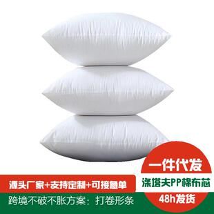 高档抱枕芯靠枕芯靠垫芯子内胆床头腰枕芯30x50沙发报枕芯65&time