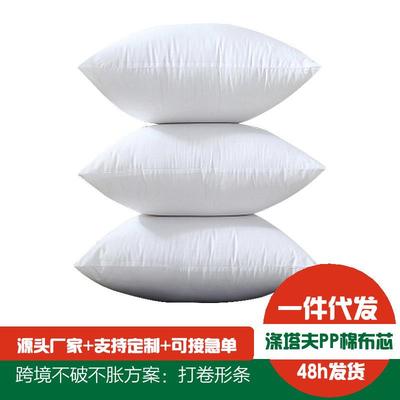 高档抱枕芯靠枕芯靠垫芯子内胆床头腰枕芯30x50沙发报枕芯65&time