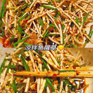 @新疆包邮西藏野葱凉拌折耳根鱼腥草泡儿菜四川老坛泡菜节节根腌