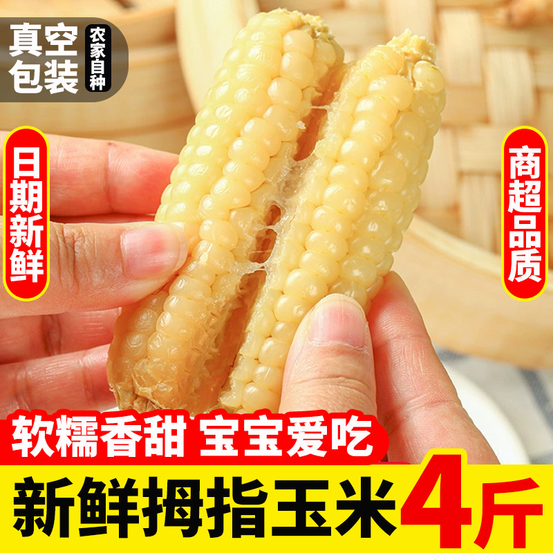 西双版纳拇指玉米非转基因新鲜迷你香糯小玉米棒孕妇蔬菜健康即食