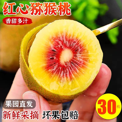 Zespri佳沛新西兰进口奇异果包邮