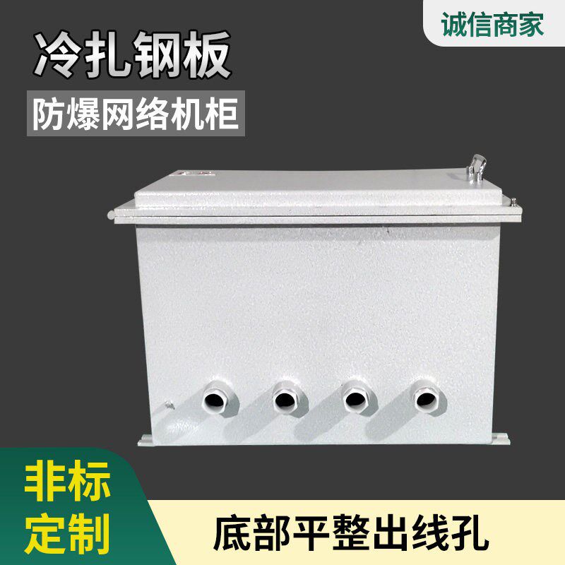 防爆网路上机柜 12U交换机防爆箱 碳钢制户外路由器箱