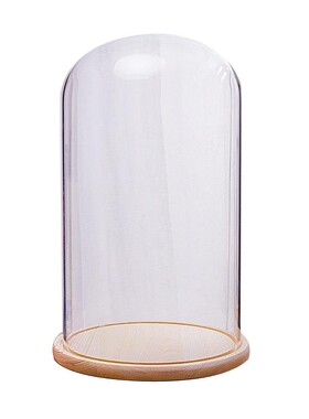 热卖大号玻璃罩 七夕节永生花防尘直径18-25厘米 创意装饰品摆件