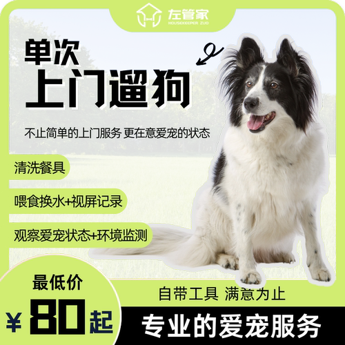 左管家 上海家政/伴宠服务/上门遛狗单次