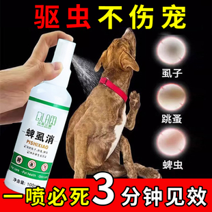 德国研发不怕舔猫狗体外驱虫去跳蚤虱子除蜱虫专用宠物环境杀虫