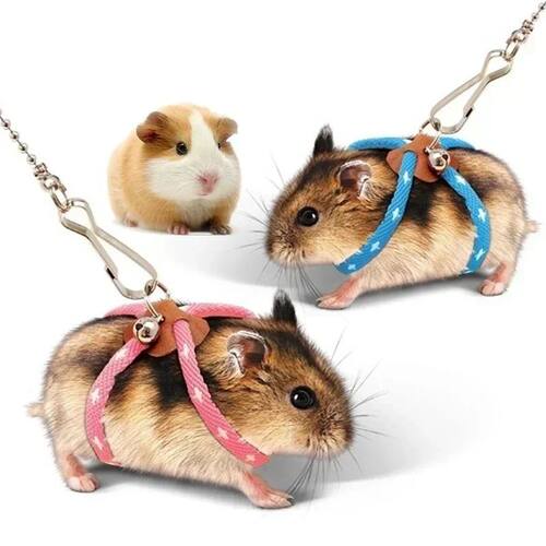 New Small Pet Adjustable Soft Strap Leash Bird Parrot Mouse