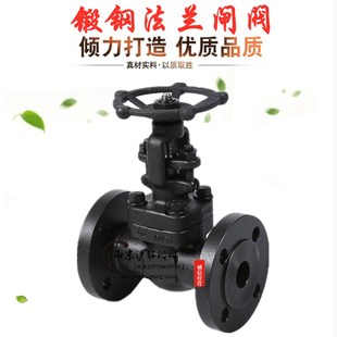 A105N 锻钢法兰闸阀 Z41H-16C-40C国标高温高压蒸汽导热油425度