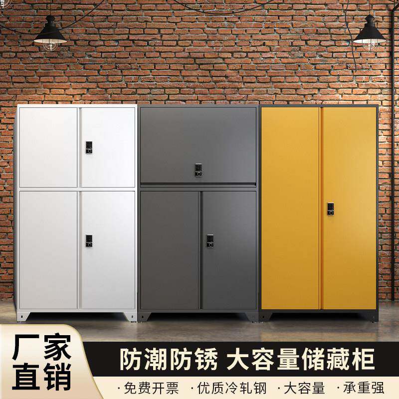 带锁钢制收纳柜防潮防晒防锈现代简约杂物柜储藏室闲置物品储物柜