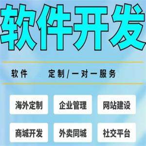 软件定制网站建设APP微信小程序开发公众号搭建物联网开发公司