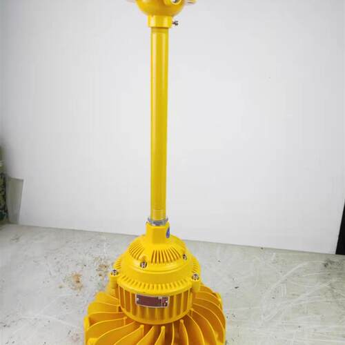 防爆高效节能灯免维护LED灯BLED 220V BED52-50W DFC-100W防爆灯