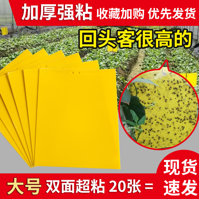 黄板双面粘虫板贴纸强力粘捕小飞虫沾果蝇诱捕获器捉蚊子苍蝇大棚